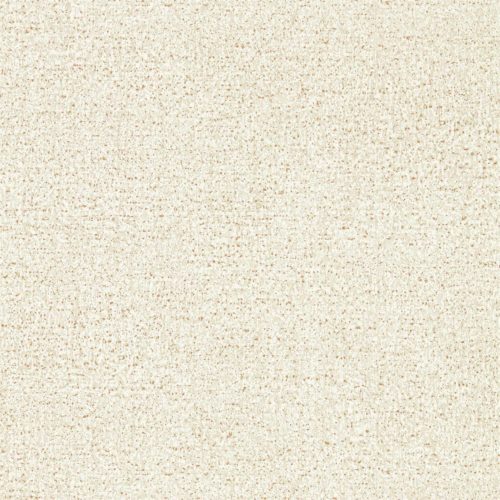 Kauri 312952